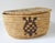 Rustic Vintage Papago Hand Woven Covered Basket Turtle Design For Sale - Image 3 of 7