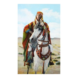 Vintage Kellogg Arabian Horse & Rudolph Valentino Postcard Print For Sale