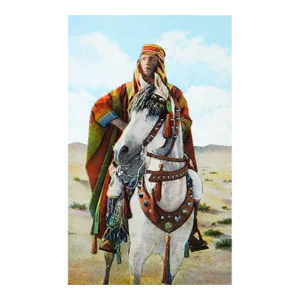 Vintage Kellogg Arabian Horse & Rudolph Valentino Postcard Print