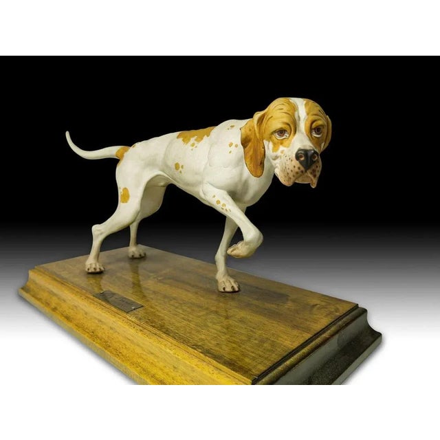 Porcelain Pointer, Early 20th Century For Sale - Image 11 of 13