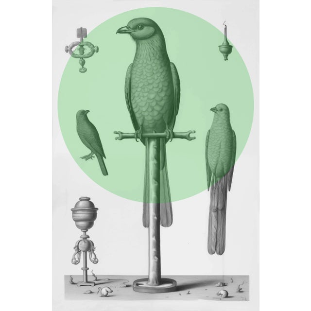 Set of 6 - High End Framed Vintage Bird Watercolor Prints With Color Accents For Sale - Image 4 of 8