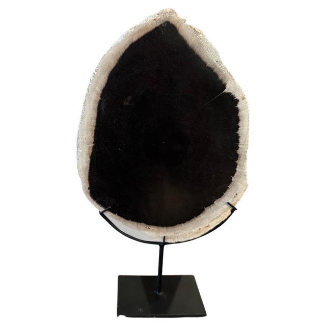 It’s fascinating how Mother Nature produces these stunning 40 million year old petrified wood with such contrasting and...