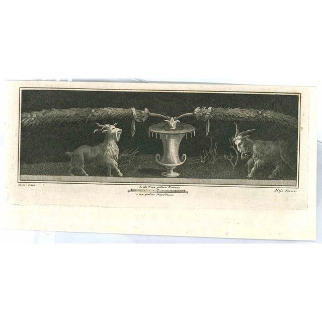 Vincenzo Aloja, Ancient Roman Frescoes, Original Etching, 18th Century For Sale