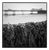 Paul Cooklin, Seaweed, Cromer Beach, North Norfolk, Edition of 50 For Sale