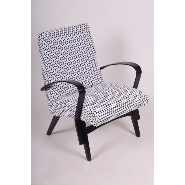 Black Mid-Century Black and White Armchair, 1950s For Sale - Image 8 of 8