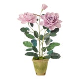 The Green Vase Charles de Gaulle Rose Plant For Sale