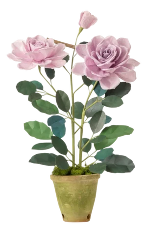 The Green Vase Charles de Gaulle Rose Plant