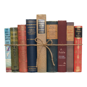 Decorative Books - Vintage World Classics Book Bundle - Subject Books by the Foot