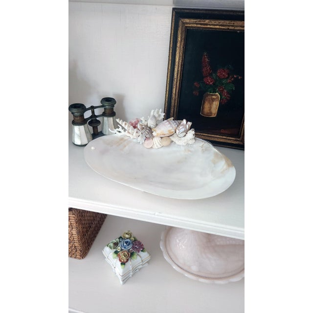 Handcrafted Oyster Shell Tray With Vintage Seashell Composition & Biwa Pearls — Coastal Sculptural Object For Sale - Image 14 of 14
