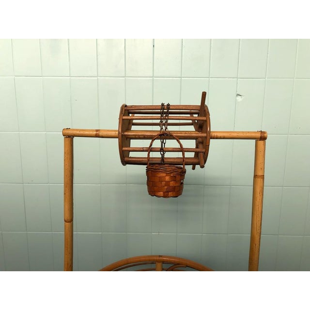 Vintage Planter in Bamboo, 1970s For Sale - Image 16 of 17