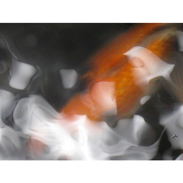 "Koi I" 18"" X 24" Contemporary Color Photograph With Black Frame by Dorothy Solomon For Sale - Image 4 of 4