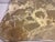 Italian Biomorphic Square Marble Table, 1970s For Sale - Image 14 of 17