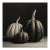 Black & White Botanical Pumpkins No. 2 — Fine Art Photograph Print | Unframed For Sale