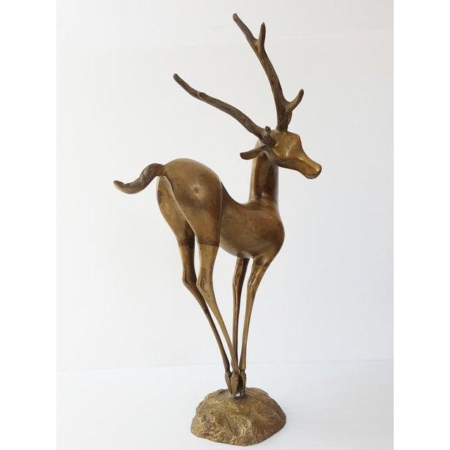 Gold Dancing Stag, Antelope, Doe, and Fawn in Gilded Brass, 1970s For Sale - Image 8 of 11