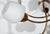 Stilnovo 1950s Nine-Light Italian Fixture Attributed to Stilnovo For Sale - Image 4 of 10