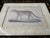 John-Richard Framed Nature Prints of a Lioness & Margay Pair Faux Tortoiseshell Wood 16x12.5 For Sale - Image 14 of 18