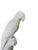 Ceramic Palm Beach Regency Blanc De Chine White Parrot Statue Sculpture For Sale - Image 7 of 7