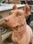 Italian Terracotta Dog Statue For Sale - Image 4 of 8