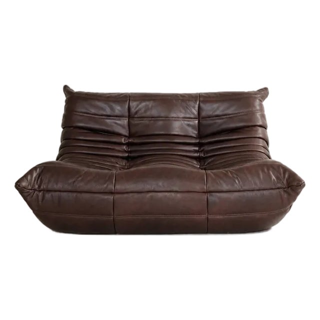 Late 20th Century A 2-Seater Sofa Michel Ducaroy / Ligne Roset Brown Leather For Sale