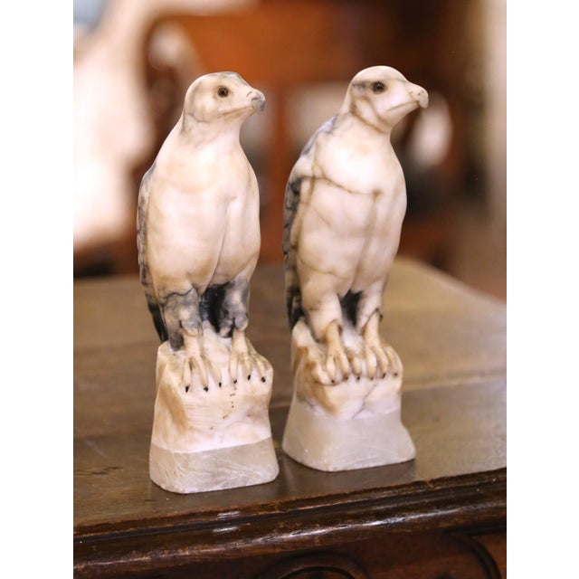 Pair of 19th Century French Carved Marble Eagle Sculptures With Glass Eyes For Sale In Dallas - Image 6 of 9