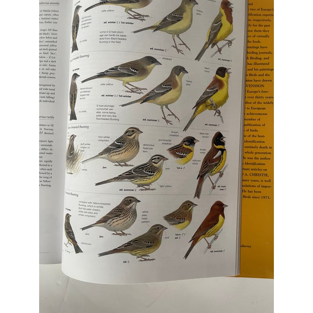 1980s 1980s Birds of Europe Coffee Book For Sale - Image 5 of 7