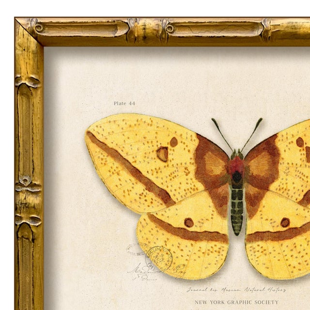 Various Artists Contemporary Reproduction of Vintage "Garden Friends" Art Print, Yellow Framed Butterfly For Sale - Image 4 of 4