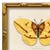 Various Artists Contemporary Reproduction of Vintage "Garden Friends" Art Print, Yellow Framed Butterfly For Sale - Image 4 of 4