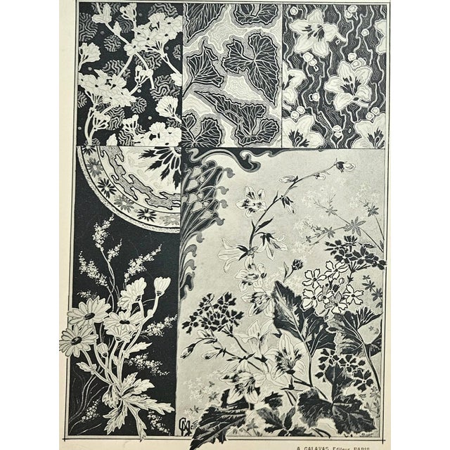 C1900 Set of 2-French Art Nouveau Botanical Designs, Documentation For Sale - Image 4 of 6