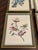 Vintage Audubon-Style Framed Bird Prints — Set of Four For Sale - Image 10 of 12