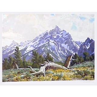 Conrad Schwiering Lithograph - Tapestry of Spring For Sale