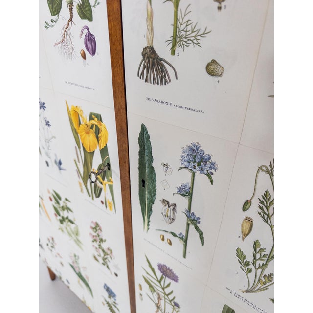 Brown Vintage Swedish Flora Cabinet, 1950s For Sale - Image 8 of 10