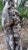 Stone 20th Century Italian Nude The Four Seasons Sculptures, Set of 4 For Sale - Image 7 of 16