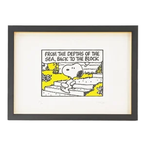 Mark Drew, Back to the Block - Snoop Dogg, Framed Hand Signed Screen Print, 2023