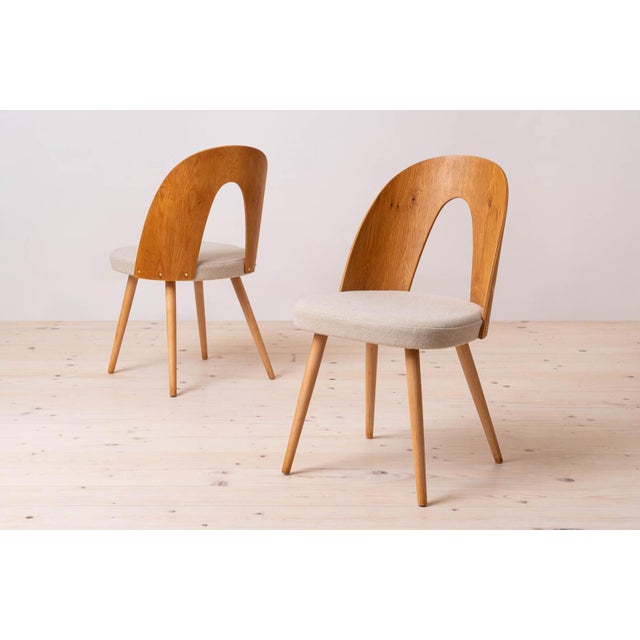 Cream Mid-Century Dining Chairs attributed to A. Suman, 1960s, Set of 16 For Sale - Image 8 of 18