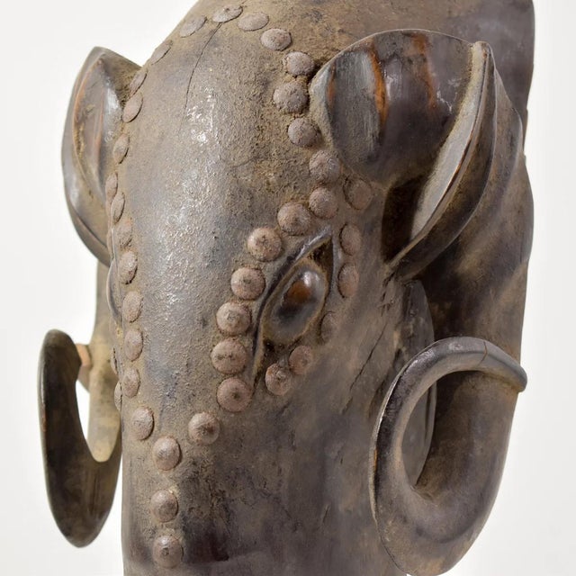 This beautiful ram is smooth and outlined with metal circles down the nose and around the eyes. Among the Baule people of...