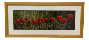Red Poppies Original Oil Pastel on Paper by A. Kedami 20th C.