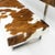 Swiss Design Permesso Bench in Cowhide from Girsberger, 2008 For Sale - Image 9 of 14