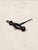 Victorian Antique English Walnut Cork Screw For Sale - Image 3 of 5