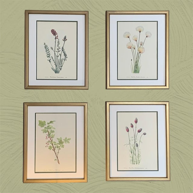 1950s Vintage Botanical Prints -Framed Set of 6-Authentic 1953 Prints For Sale - Image 5 of 5