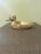 Vintage solid brass wood duck ashtray. Heavy, bright and shiny classic piece.
