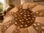 Luxury Handmade Moroccan Leather Pouf | Artisan Ottoman | For Sale - Image 4 of 4