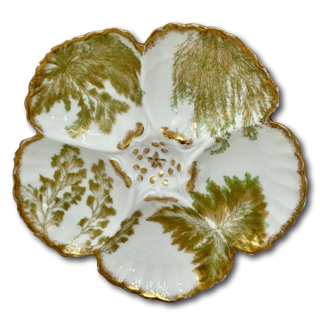 Antique French Limoges Porcelain Oyster 22k Gold & Ferns Decorated Plates Set of 7 For Sale - Image 13 of 18
