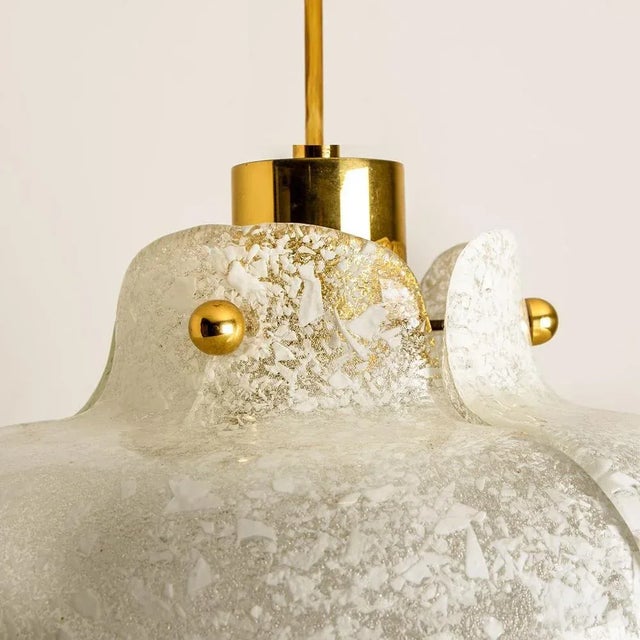 Flower Pendant Lamp from Hillebrand, Europe, Germany For Sale - Image 9 of 13