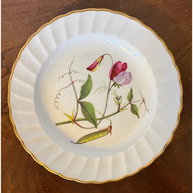 Pink Antique 18th Century Derby Porcelain Botanical Plate Decorated With Hand Painted Specimen - Sweet Pea For Sale - Image 8 of 12