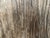 1900 - 1909 Antique Hand Carved Wooden Panel For Sale - Image 5 of 6