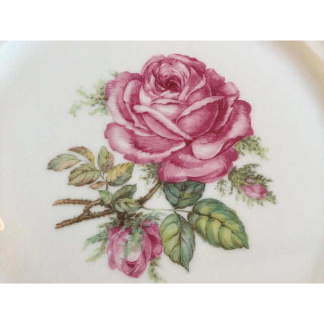 Alabaster 1950s Bavarian China Plates - Set of 3 For Sale - Image 8 of 13