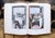 Large 1940 First Edition "Picasso" by Jean Cassou, Lithographed in the U. S. A. For Sale - Image 14 of 18