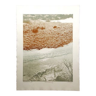 Paula Crane "Frostbound Iv" Hand Signed & Numbered Art Etching Make an Offer! For Sale