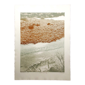 Paula Crane "Frostbound Iv" Hand Signed & Numbered Art Etching Make an Offer!