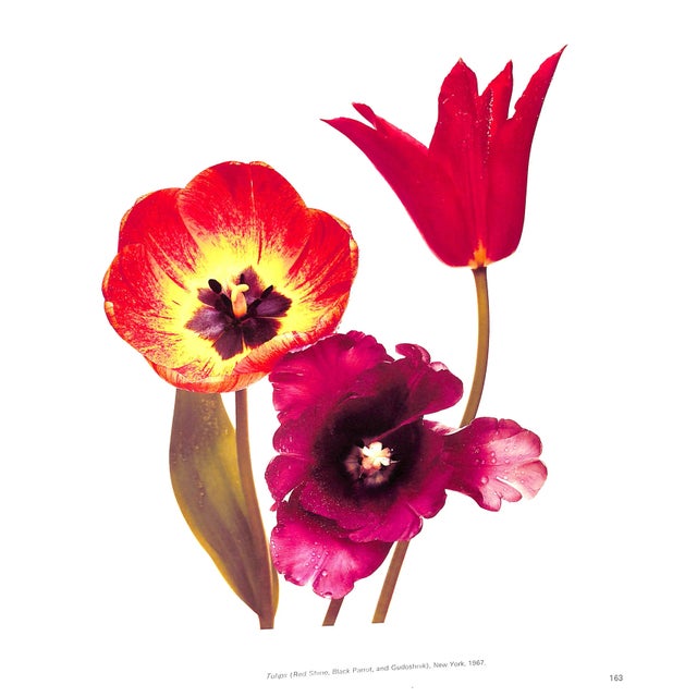 1990s "Passage" 1991 Penn, Irving For Sale - Image 5 of 11